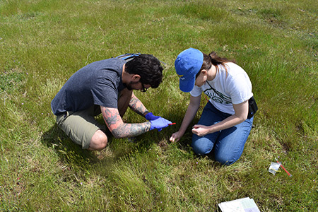 Citizen scientists collect eDNA from reserve.