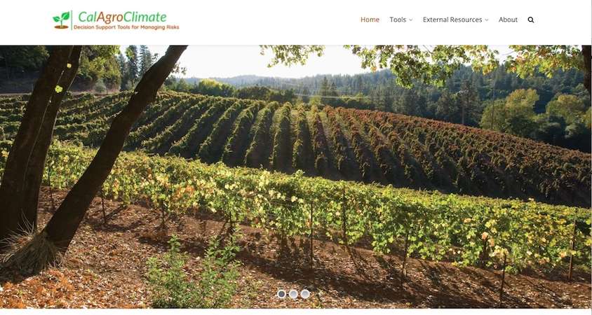 A new website offers farmers vital growing information.