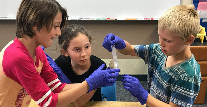 Young students conducting a science experiment