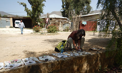 Professor Fogel spent two and half days separating charcoal fragments from soils in facilities the archaeological team shared with the local jail compound in Adigrat. She was often surrounded by policemen, lawyers and families of inmates who were curious to learn what the scientists were finding.